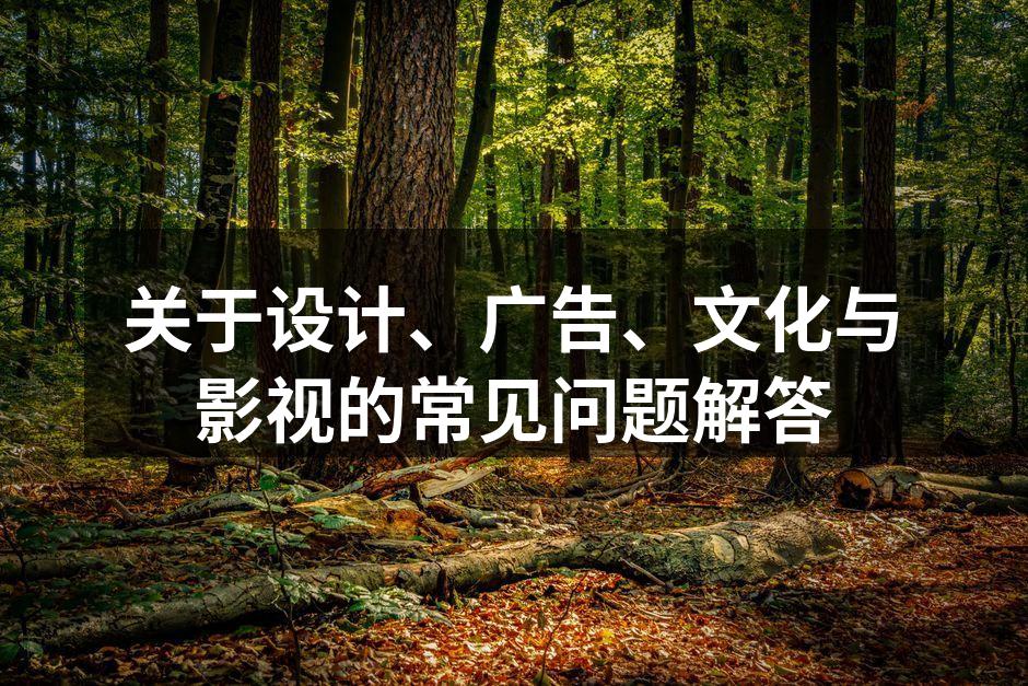 设计师在进行方案讨论